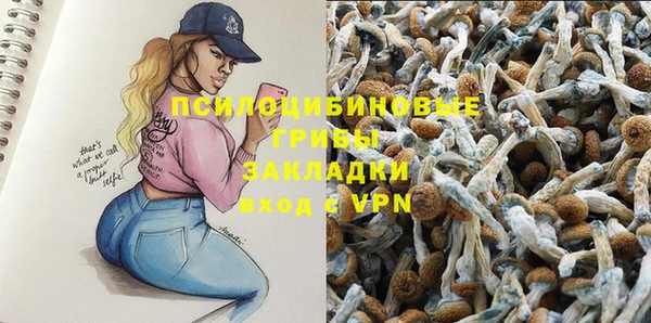 эйфоретик Баксан